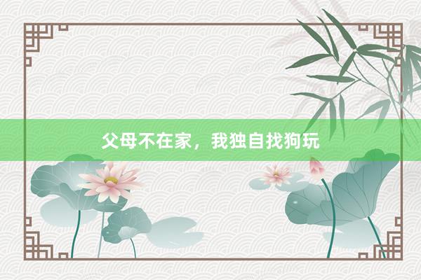 父母不在家，我独自找狗玩